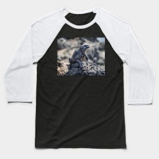 Galapagos Marine Iguana Baseball T-Shirt